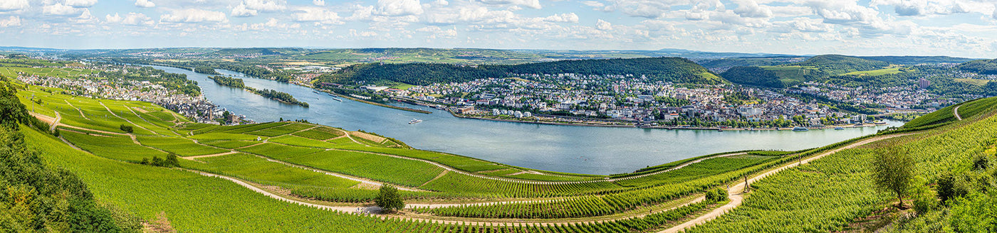 Weinberge am Rhein mit Panoramablick auf deutsche Weinlandschaft – Herkunft hochwertiger deutscher Rotweine