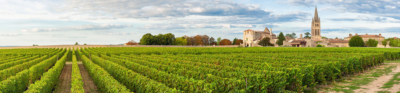 Weinberge vor französischem Dorf mit Kirche – Herkunft klassischer Weine aus Frankreich