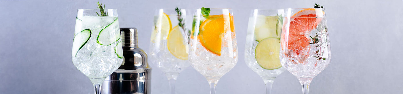 Verschiedene Gins in Longdrink-Gläsern garniert mit verschiedenen Früchten