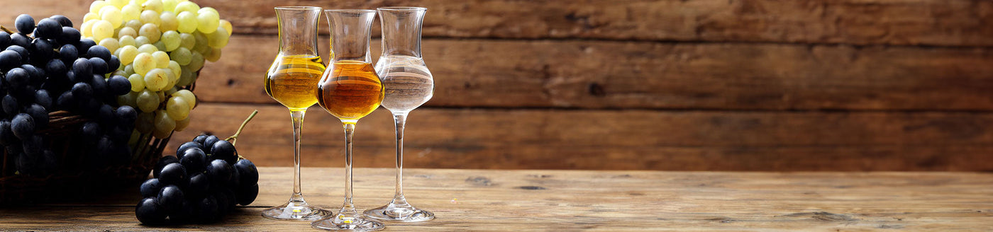 Grappa in Grappagläsern neben weißen und roten Weintrauben