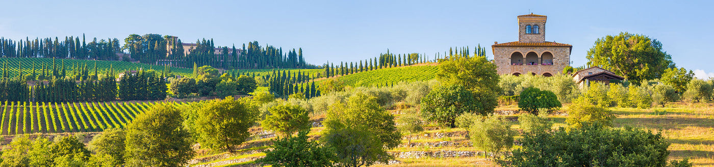 Weinberge mit Zypressen, italienischem Gutshaus und sonniger Landschaft - Herkunft hervorragender Rotweine aus Italien
