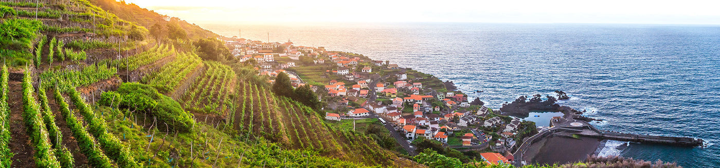 Terrassenweinberge bei Sonnenuntergang mit Blick auf den Atlantik und Funchal, Heimat des Madeira Weins