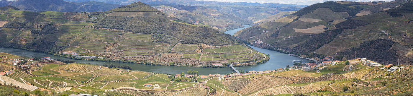 Blick auf das Douro-Tal mit Fluss und steilen Weinterrassen in Portugal – berühmt für Portwein und Wein