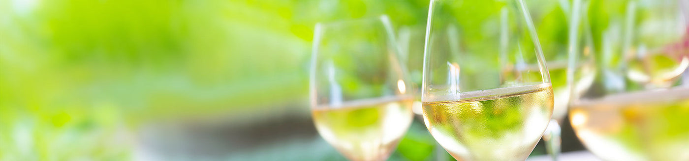 Weingläser mit Weißwein auf einem Tablett