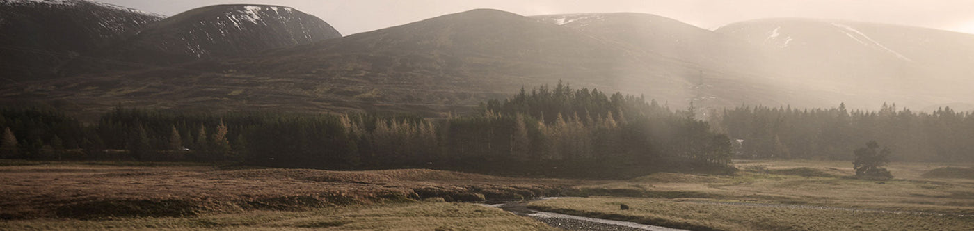 Schottische Highlands im Nebel, Herkunft des Chivas Regal Blended Scotch Whiskys mit elegantem Charakter