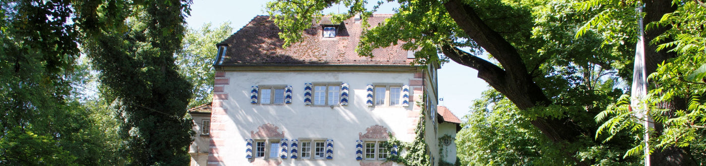 Historisches Weingut Graf Adelmann auf Burg Schaubeck, umgeben von Bäumen, bekannt für edle deutsche Weine