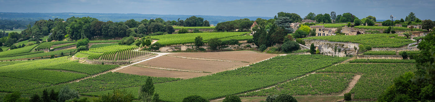 Grüne Rebflächen und Weingüter in Bordeaux – Herkunft eleganter Weine aus frankreichs Südwesten
