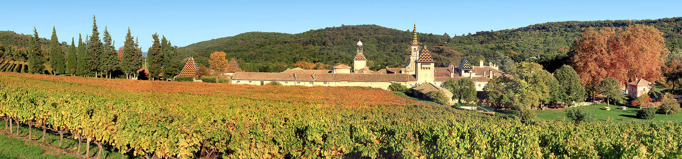 Herbstliche Weinlandschaft in Languedoc-Roussillon mit Gutshof, Weinreben und umliegenden Hügeln