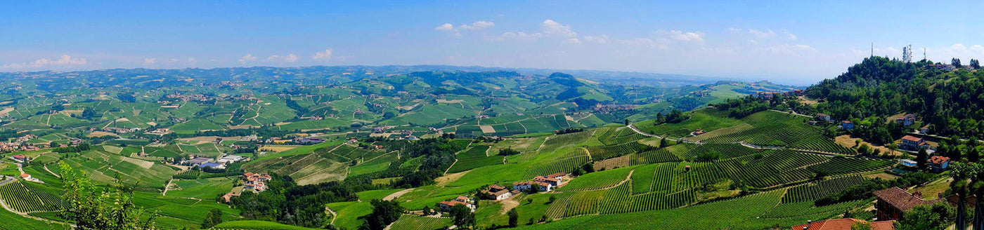 Weinberge in der Hügellandschaft von Barolo mit kleinen Weingütern und typischem Piemont-Panorama