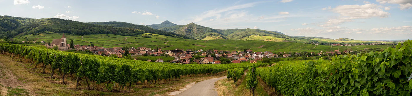 Ein Dorf mit Häusern mit roten Dächern liegt unter blauem Himmel, umgeben von üppig grünen Weinbergen und sanften Hügeln.