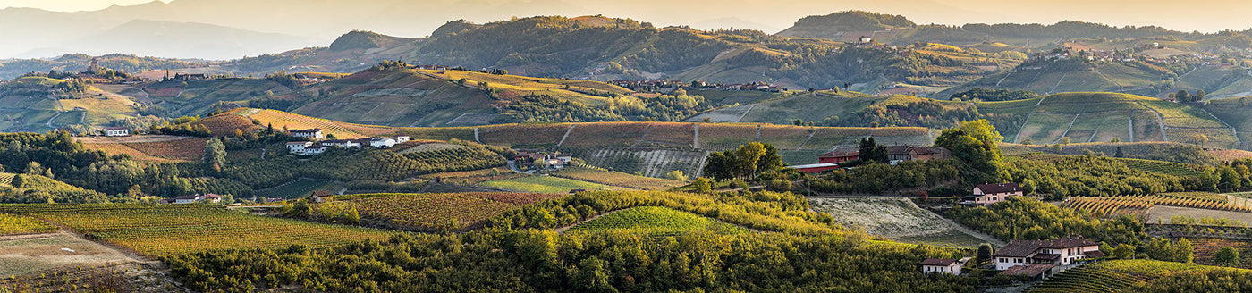 Hügelige Weinberge im Piemont mit Weinreben, Dörfern und Gehöften in der Weinregion Langhe