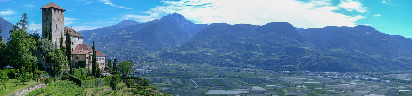 Weinberge bei Meran mit historischem Schloss und Alpenkulisse, typische Region für Weine aus Südtirol