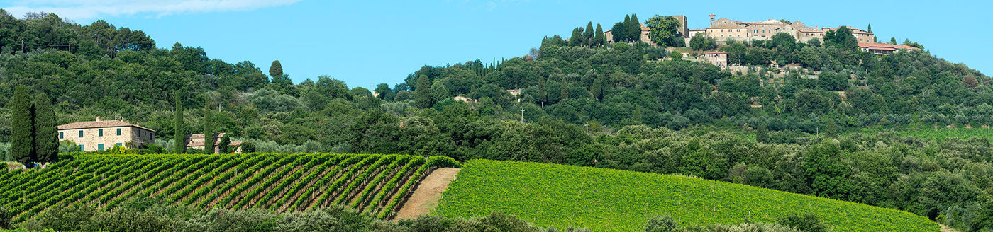 Weinberge unterhalb des Hügeldorfs Montalcino in der Toskana – Herkunft des Brunello di Montalcino
