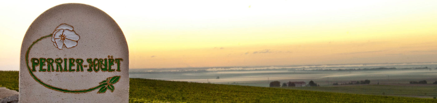 Weinberge von Perrier-Jouët bei Sonnenaufgang – Heimat des edlen französischen Champagners