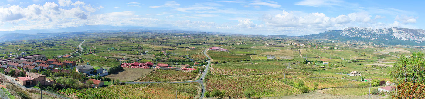 Weinberge und Dörfer in der Rioja-Region in Spanien – bekannt für hochwertige Tempranillo-Weine