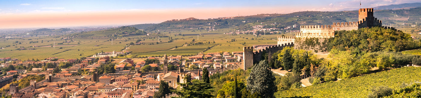 Blick auf die Weinstadt Soave in Venetien mit Burg und umliegenden Weinbergen – bekanntes Anbaugebiet für Weißwein