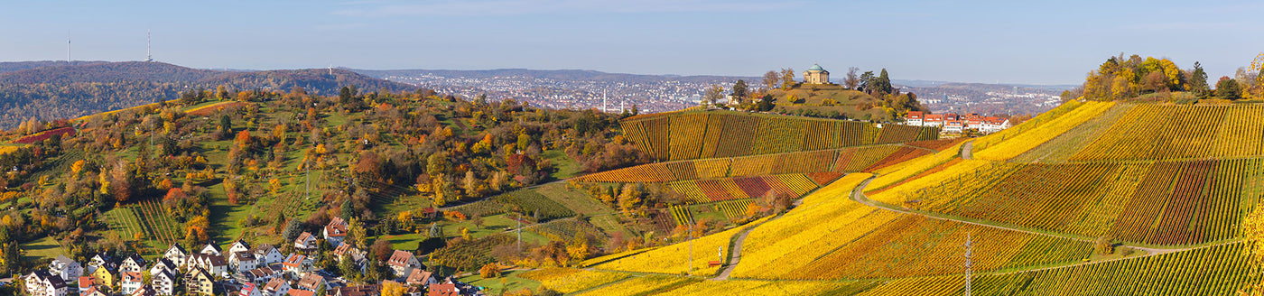 Weinberge bei der Grabkapelle auf dem Württemberg in herbstlichen Farben – typisches Weinanbaugebiet nahe Stuttgart