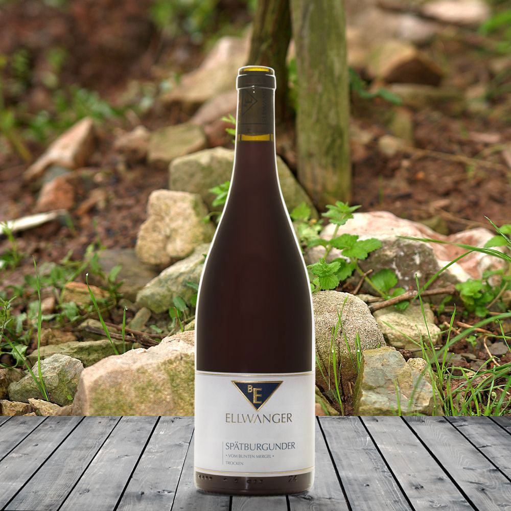 Bernhard Ellwanger Spätburgunder bunter Mergel trocken 2019