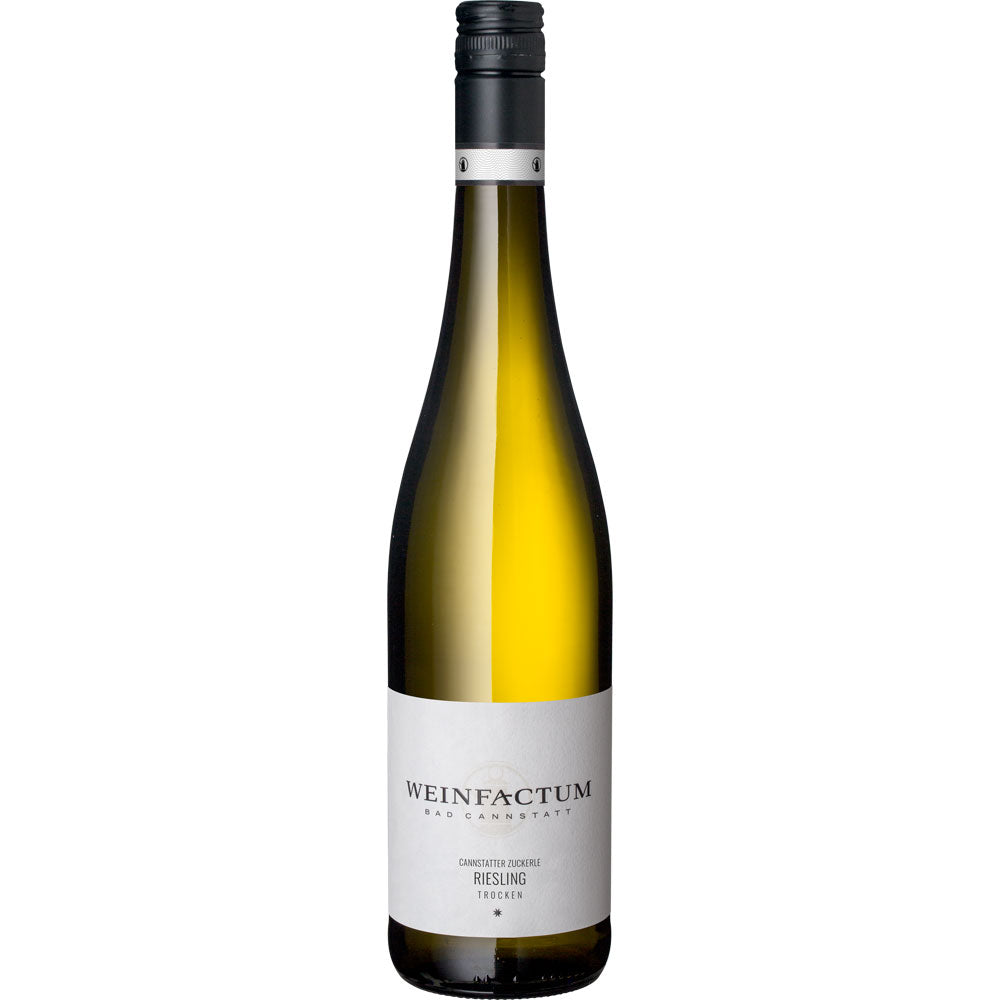Weinfactum Bad Cannstatt Cannstatter Zuckerle Riesling 1 Stern trocken 2023
