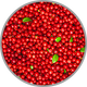 Nahaufnahme von frischen Cranberrys zur visuellen Darstellung der säurebetonten Aromatik in jungen Rotweinen
