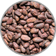 Nahaufnahme von Kakaobohnen zur Visualisierung des schokoladigen Aromas in gereiften Rotweinen