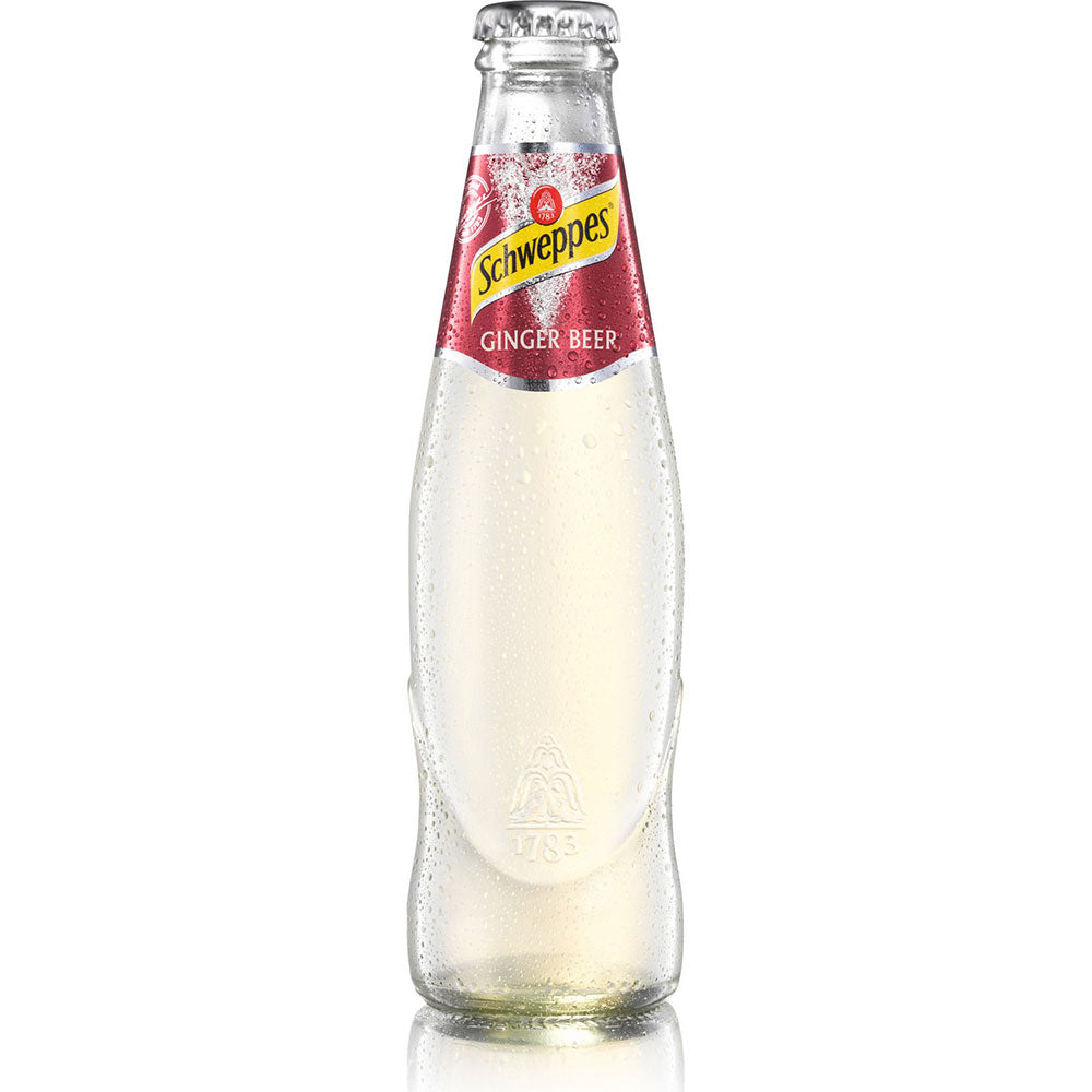 Schweppes Ginger Beer 24x 0,2 Liter (MEHRWEG)