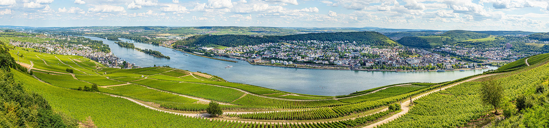 Weinberge mit Panoramablick über den Rhein und die Weinlandschaft – Ursprung hervorragender deutscher Weine