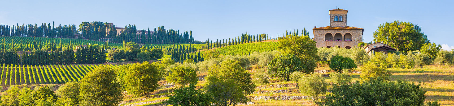 Weinberge in Italien mit Zypressen, Gutshaus und sonniger Hügellandschaft - Herkunft hervorragender italienischer Weine
