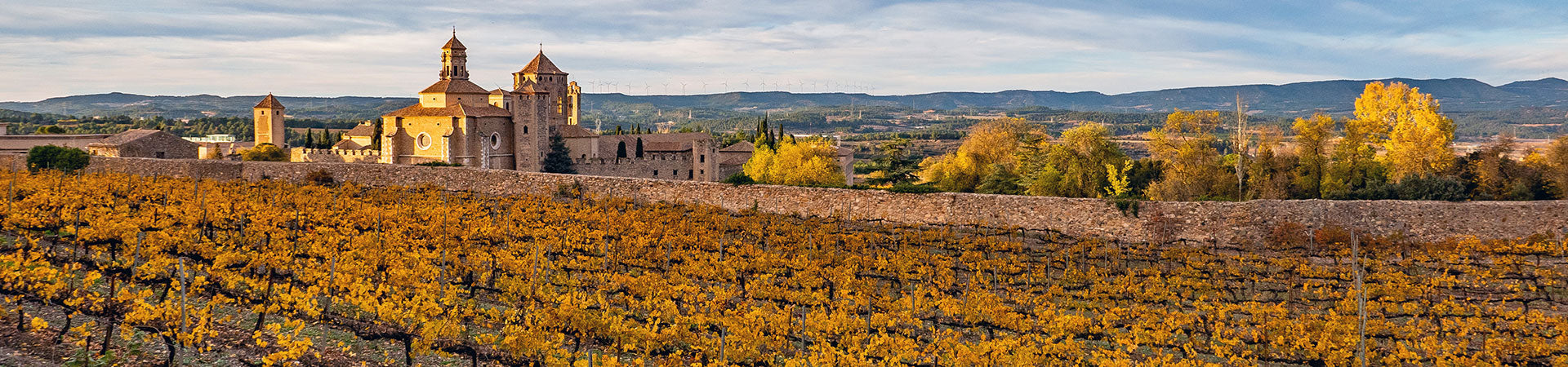 Typische spanische Landschaft mit Weinreben und historischer Architektur, traditionsreiche Region für hervorragende Weine