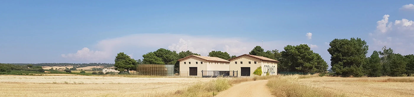 Zwei landwirtschaftliche Gebäude an einer unbefestigten Straße, umgeben von goldenen Feldern und Bäumen unter blauem Himmel.