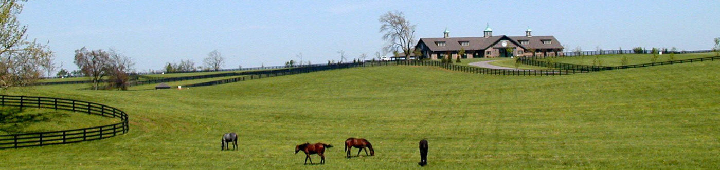 Die Four Roses Bourbon Whiskey Destillerie in Kentucky liegt malerisch auf grüner Weide mit Pferdekoppel