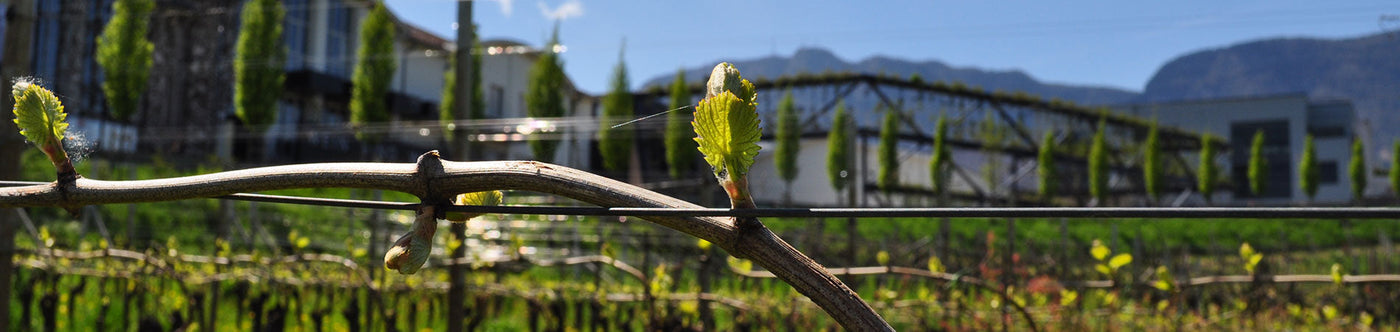 Schreckbichl Colterenzio