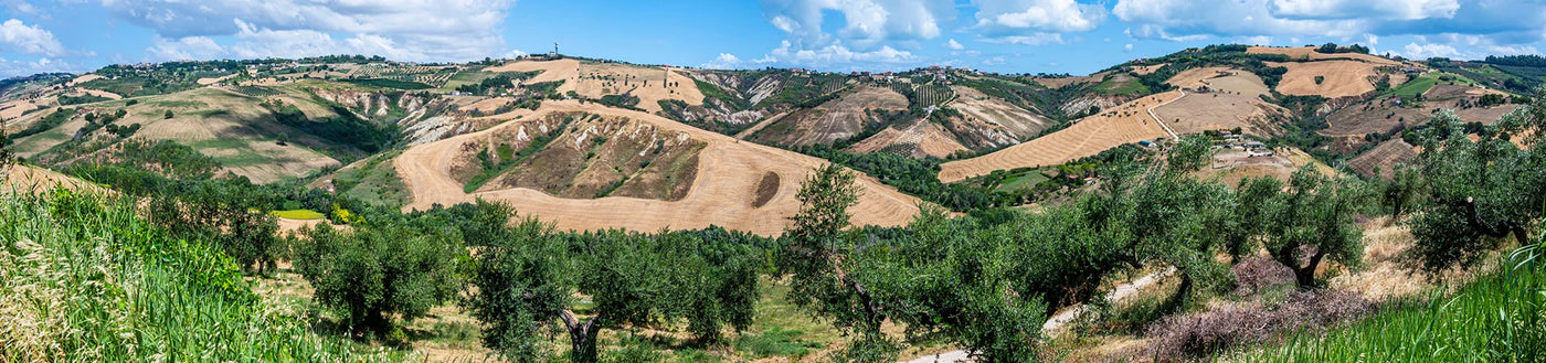 Panoramablick auf sanfte Hügel, grüne Bäume und Ackerland unter einem strahlend blauen Himmel mit vereinzelten Wolken.