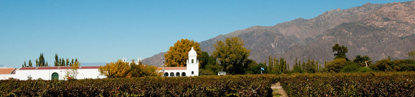 Hochwertige Weine aus der Weinlandschaft in Argentinien mit Gutshaus, Reben und den Anden im Hintergrund