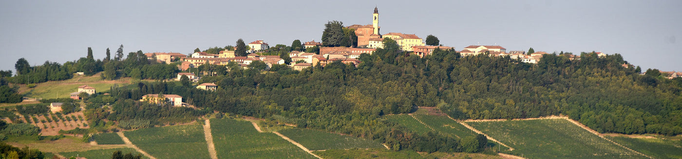 Panorama eines Weindorfs im Piemont mit umliegenden Weinbergen – typisches Anbaugebiet für piemontesische Weine