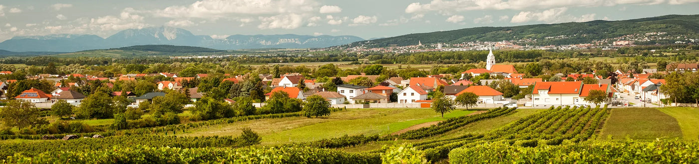 Ein malerisches Dorf mit Häusern mit roten Dächern, einer Kirche, grünen Feldern und Bergen im Hintergrund unter blauem Himmel.