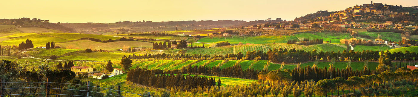 Weinberge und Hügellandschaft der Toskana bei Sonnenuntergang - Herkunft des Maremma Weins