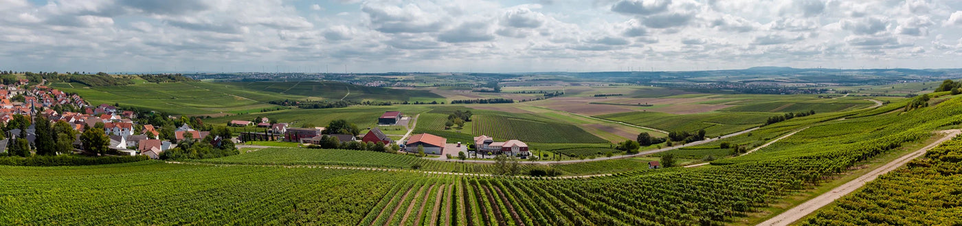 Panoramablick auf grüne Weinberge, Ackerland und ein kleines Dorf unter einem teilweise bewölkten Himmel.