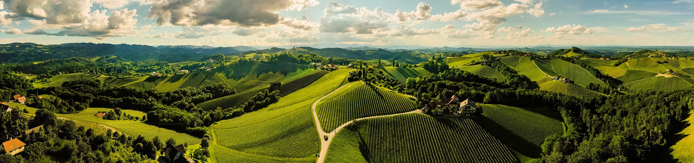 Luftaufnahme von sanften grünen Hügeln, Weinbergen, vereinzelten Häusern und fernen Bergen unter einem bewölkten Himmel.