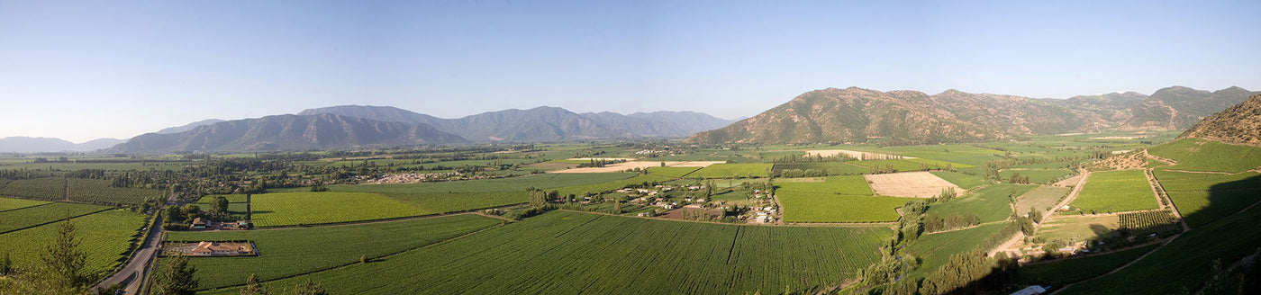 Weinberge in einem chilenischen Tal mit Blick auf die Anden – Herkunft charaktervoller Weine aus Chile
