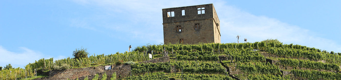 Historischer Turm über terrassierten Weinbergen des Weinguts Karl Haidle, bekannt für hochwertigen Württemberger Wein