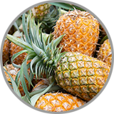 Frische Ananas in Nahaufnahme als visuelle Darstellung des Ananasaromas eines Weißweins