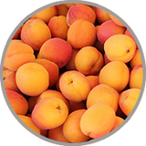 Saftige Aprikosen in Nahaufnahme zur Darstellung des fruchtigen Aromas in Riesling oder gereiften Weißweinen