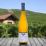 Bernhard Ellwanger Riesling bunter UPDATEl trocken 2021
