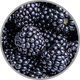 Nahaufnahme von frischen Brombeeren zur Darstellung des Beerenaromas in Rotweinen