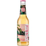 Coldleaf Dragon Paradise Bay Eistee 24x 0,33 Liter (MEHRWEG)