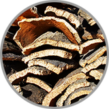 Detailaufnahme von Eichenholzbrettern zur Visualisierung des holzwürzigen Aroma in Barrique gereifter Weine