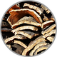 Detailaufnahme von Eichenholzbrettern zur Visualisierung des holzwürzigen Aroma in Barrique gereifter Weine