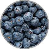 Nahaufnahme von frischen Heidelbeeren zur Visualisierung des Beerenaromas in konzentrierten Rotweinen