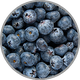 Nahaufnahme von frischen Heidelbeeren zur Visualisierung des Beerenaromas in konzentrierten Rotweinen